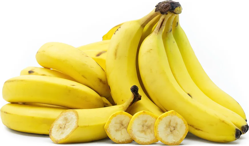Banana (Silk)